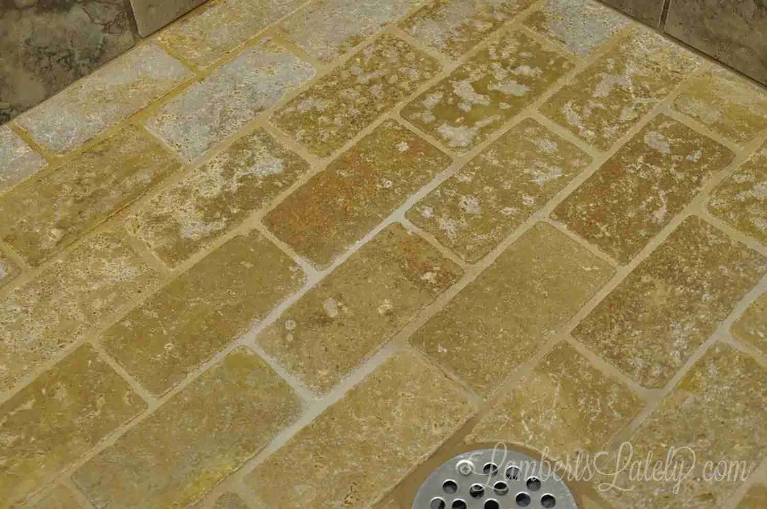 floor of a tiled shower