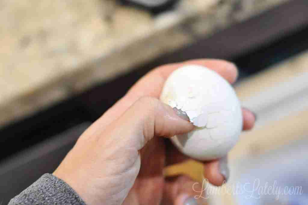 peeling a hard boiled egg