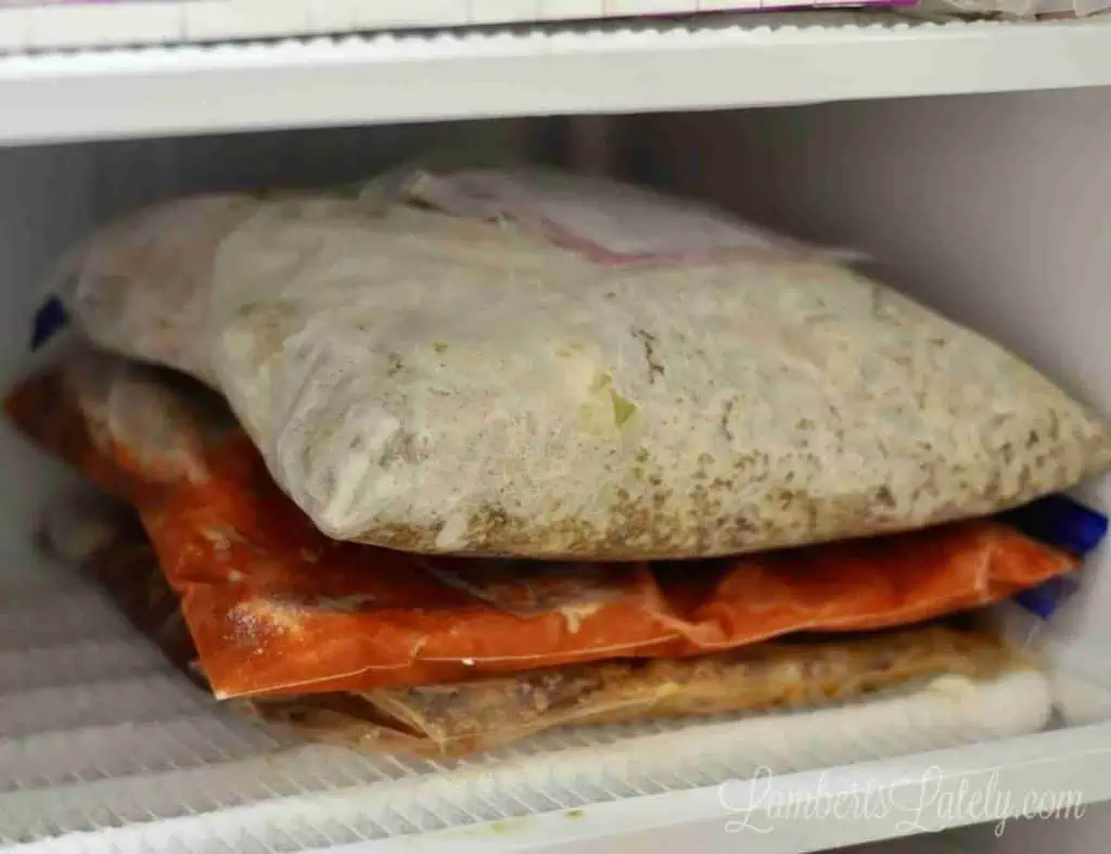 freezer meals frozen flat in gallon plastic bags.