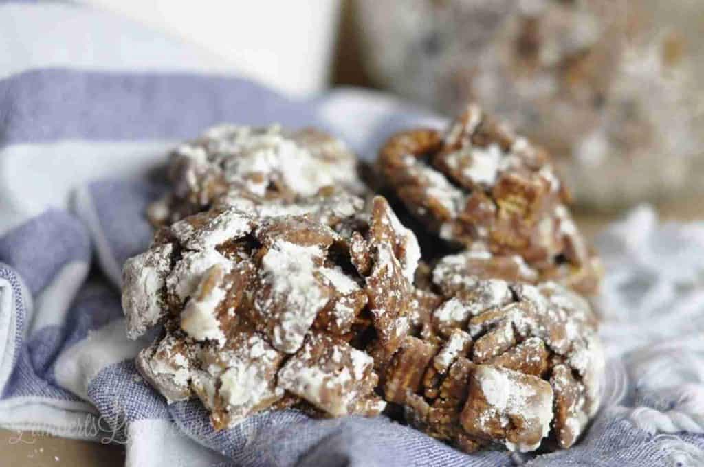 Make everybody's favorite party snack into a cookie! These No-Bake Muddy Buddies Cookies are simple to make - simply melt coating, stir in Chex, and allow to set. Great peanut butter/chocolate flavor.