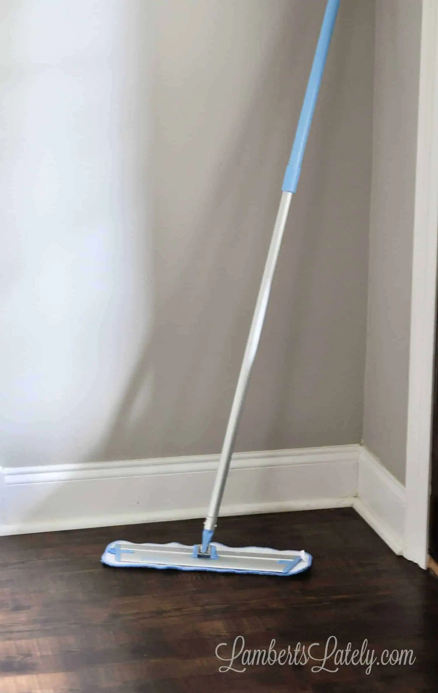 e cloth mop leaning against a wall.