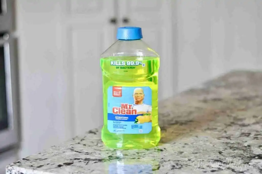 bottle of mr. clean on a counter.