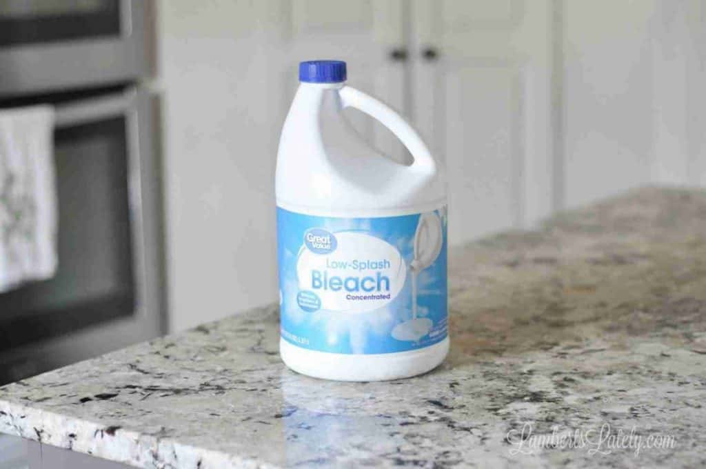 bottle of bleach on a counter.