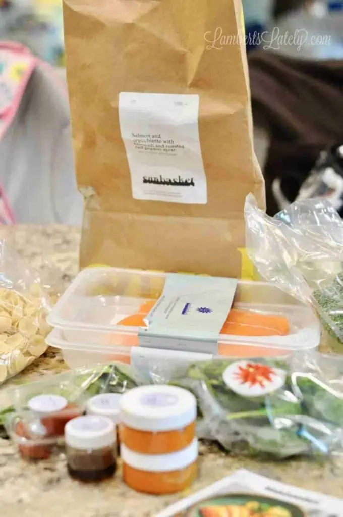 best meal delivery services