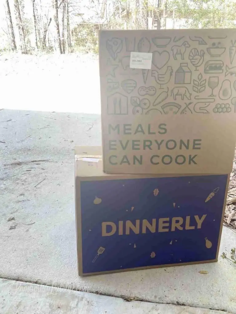 best meal delivery services
