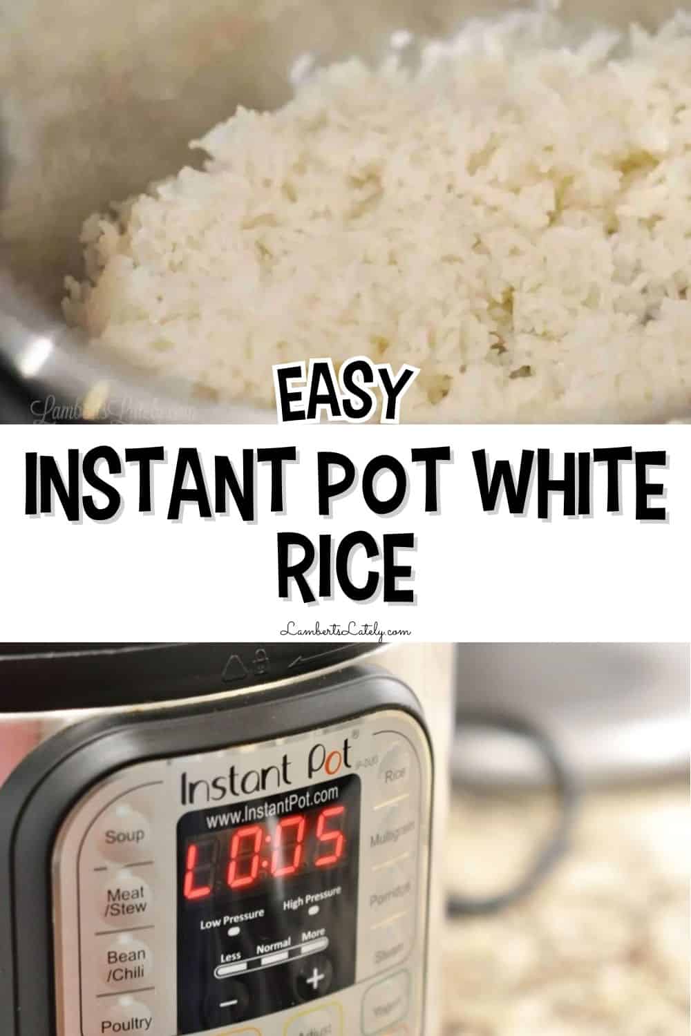 How to Cook Rice in the Instant Pot (Perfect Every Time!) | LL Eats