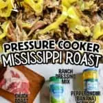 Pressure cooker Mississippi roast with peppers and ranch dressing mix.