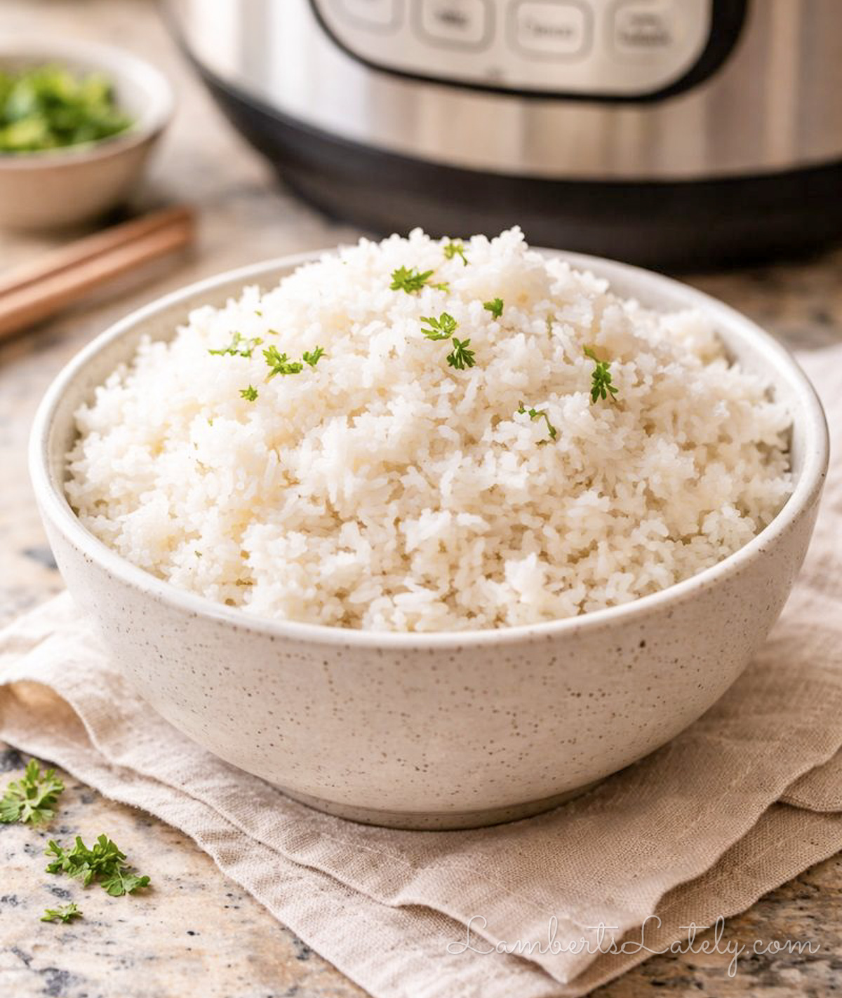 bowl of fluffy white rice in front of an instant pot pressure cooker.