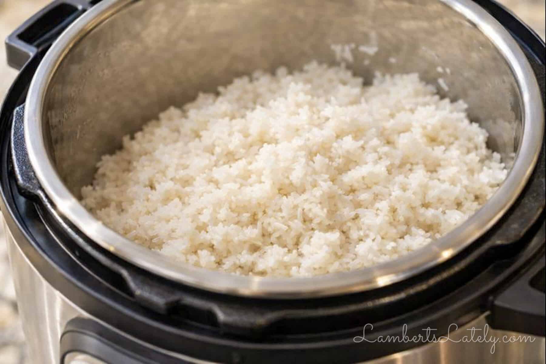 How to Cook Rice in the Instant Pot (Perfect Every Time!) | LL Eats
