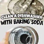 Whirlpool dishwasher drain after cleaning with baking soda and vinegar.