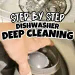 Close-up of a person cleaning a dishwasher filter with text overlay about deep cleaning.