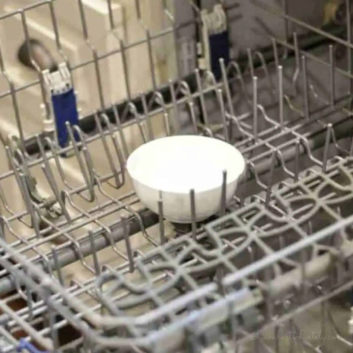 bowl of vinegar in the middle of the dishwasher rack.