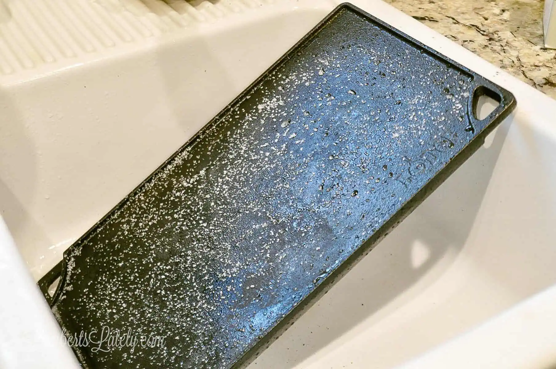 coarse salt sprinkled over the wet cast iron in a sink.