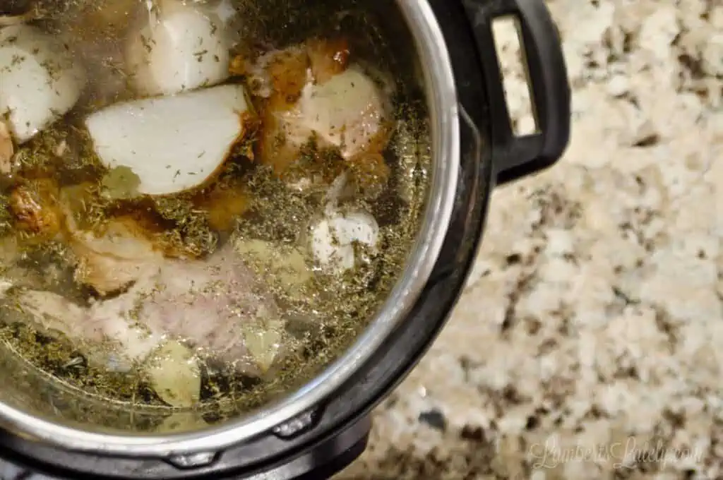 looking down on onion, spices, and chicken in water in an instant pot.