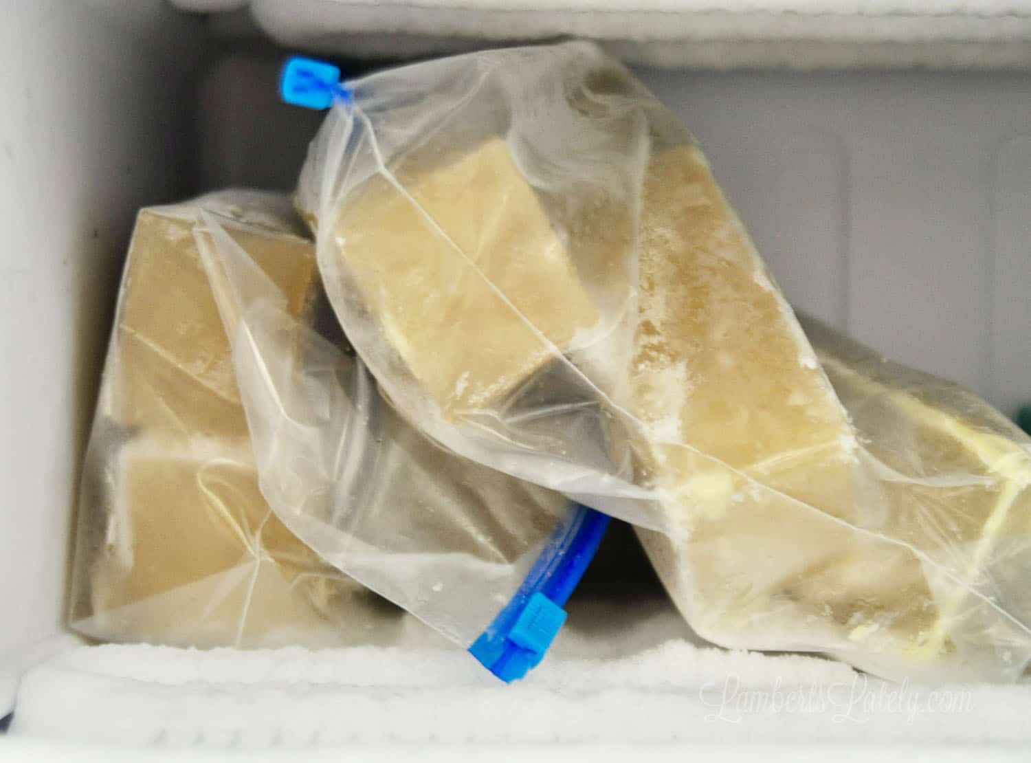 frozen blocks of chicken stock in plastic bags.
