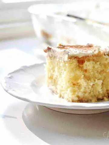 slice of tres leches cake on a plate with forks and a baking dish in background.