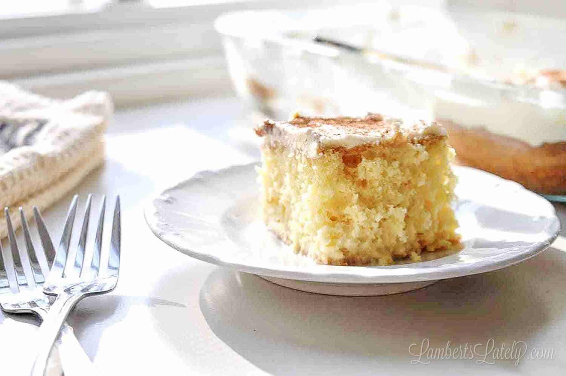 slice of tres leches cake on a plate with forks and a baking dish in background.