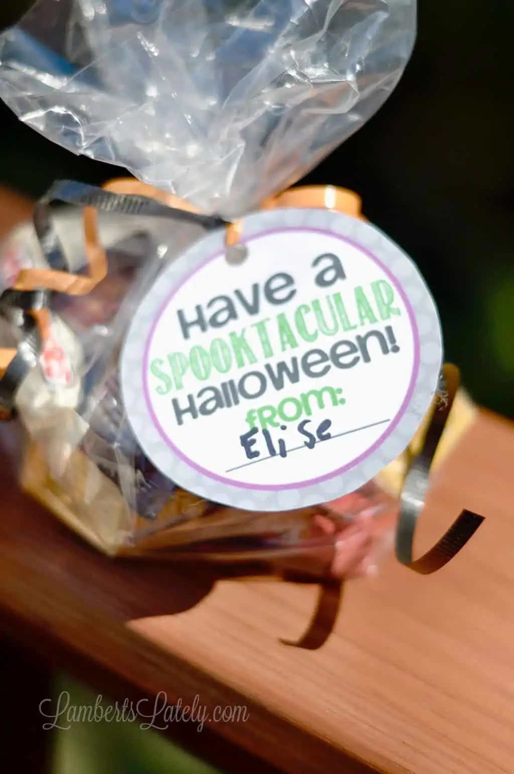 Halloween gift bag with a festive spooktacular tag for Eli Se.