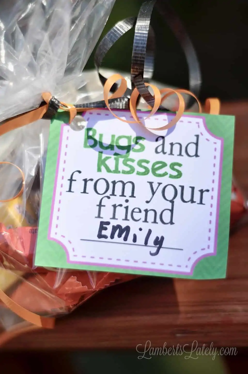 Gift bag with a note saying 'Bugs and kisses from your friend Emily'.