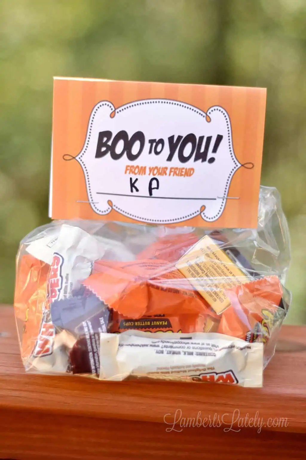 Halloween candy gift bag with a personalized note from Lamberts Lately.