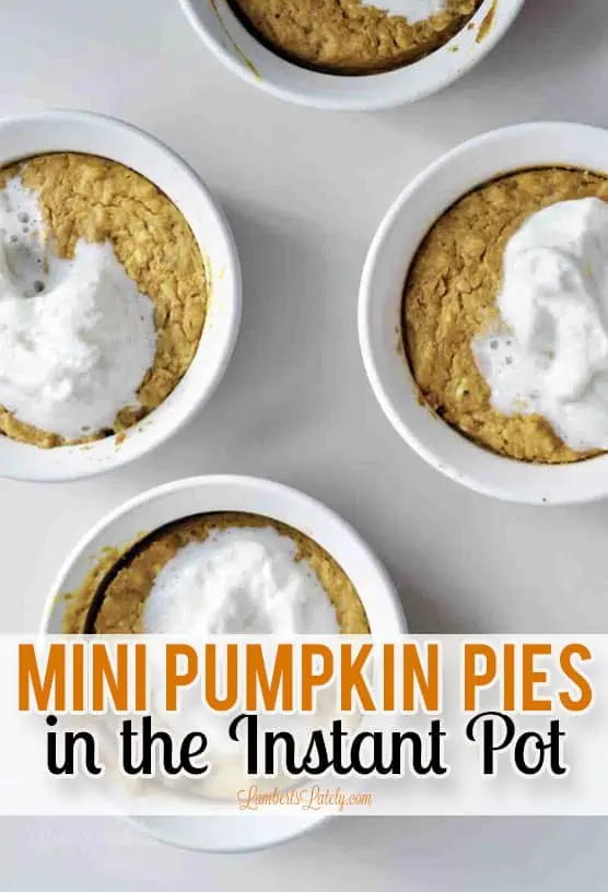 mini pumpkin pies in the instant pot; pumpkin pies in white ramekins on a white table.
