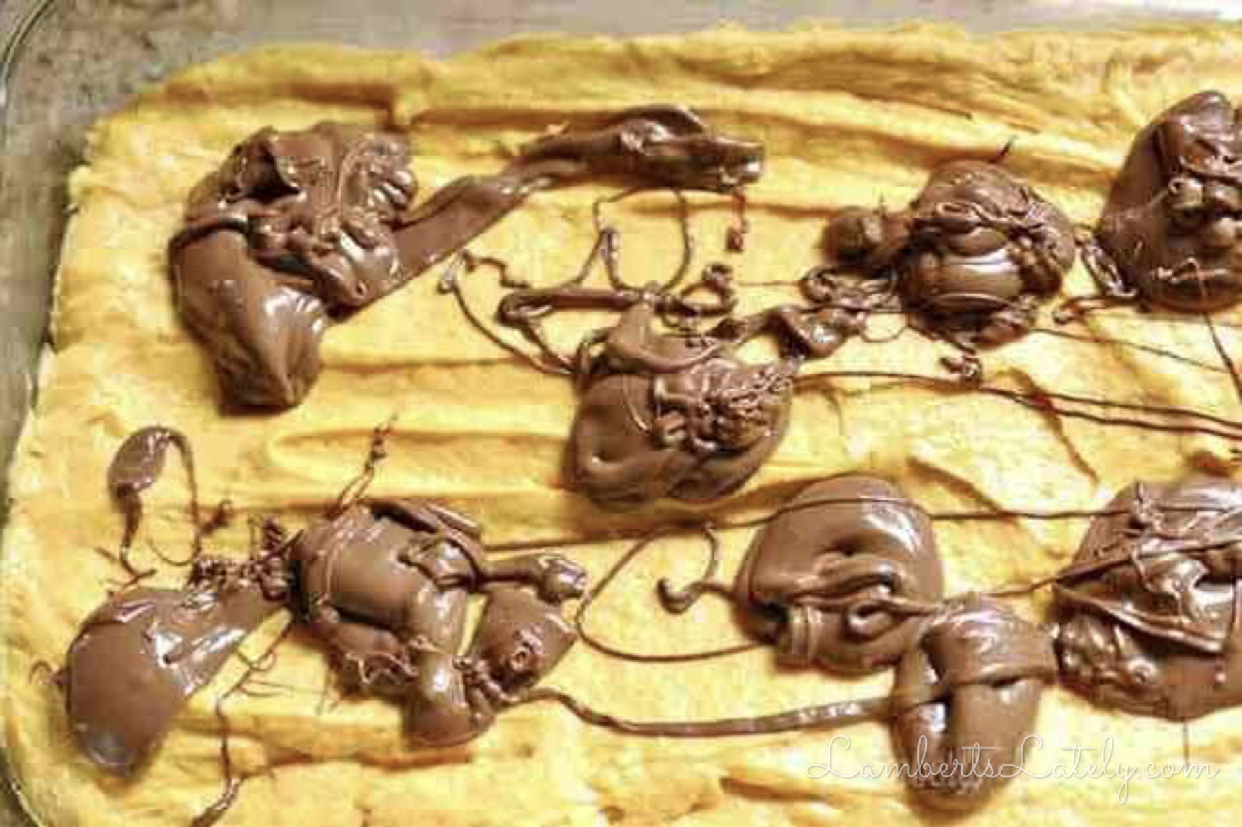 nutella dolloped over pumpkin cake batter.