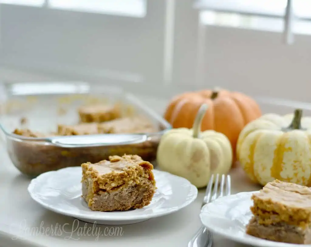 pumpkin pie bar on a white plate in front of a baking dish and pumpkins.