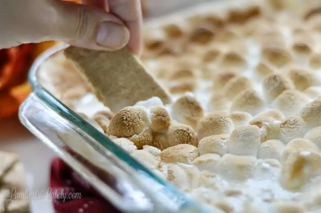 close up of graham cracker digging into melted, toasted marshmallows on top of dip.