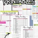 Over 300 free organization printables for home and office organization.