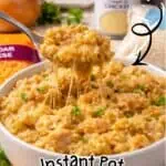 Creamy cheesy chicken and rice in a white bowl with melted cheese on top.