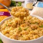 Creamy cheesy chicken and rice casserole in a white bowl with melted cheese.