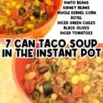 Close-up of 7 Can Taco Soup in a bowl with colorful ingredients and toppings.