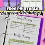 Printable cleaning schedule planner with daily, weekly, and monthly tasks in purple and green.