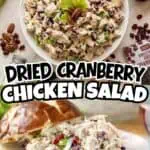 Dried cranberry chicken salad in a white bowl with celery and pecans.