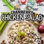 Cranberry Chicken Salad with pecans, cranberries, and celery on a plate.