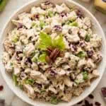 Cranberry Pecan Chicken Salad in a white bowl with celery and pecans, on a light background.