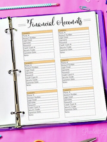 financial accounts log in a binder.