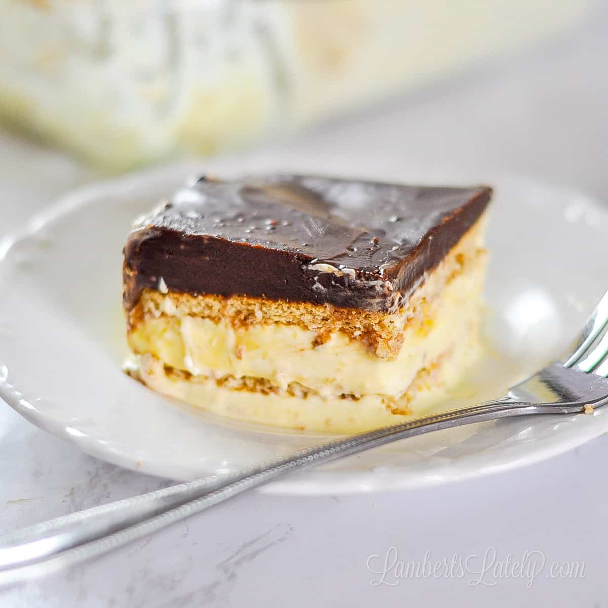 Easy No Bake Chocolate Eclair Cake Recipe