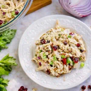cranberry chicken salad on a bun on a plate, surrounded by a bowl, onion, celery.