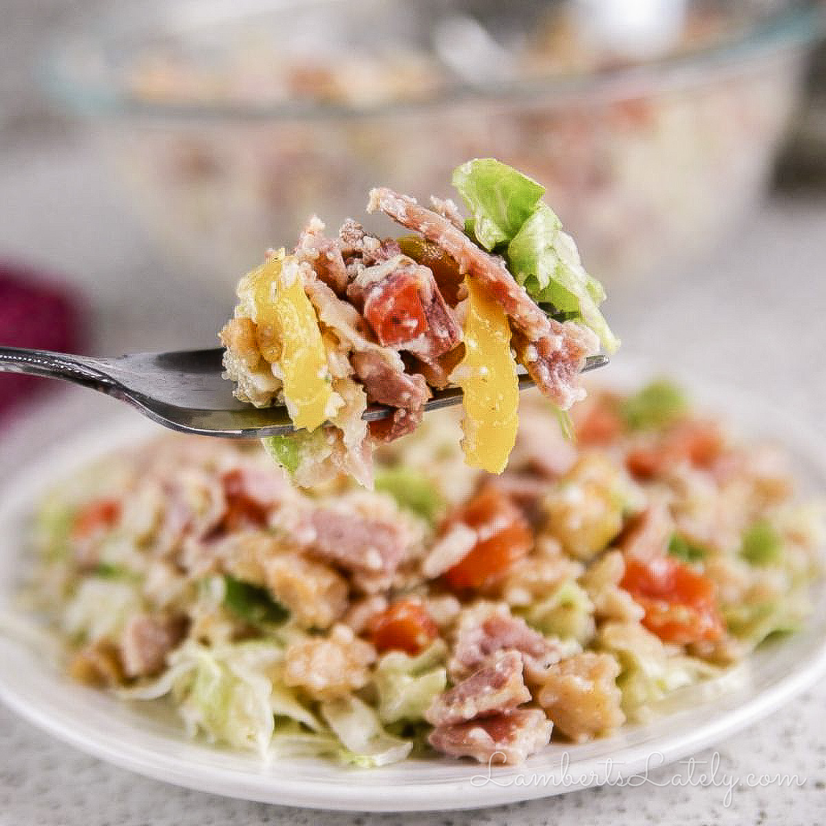 holding a fork full of italian grinder salad in front of a salad plate.