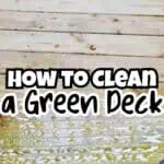Wood deck with green stains and cleaning tools for stain removal.