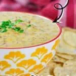 Creamy Rotel dip in a decorative bowl with chips, easy to make in a crock pot.
