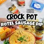 Crock pot Rotel sausage dip with cheese and crackers, garnished with green onions.