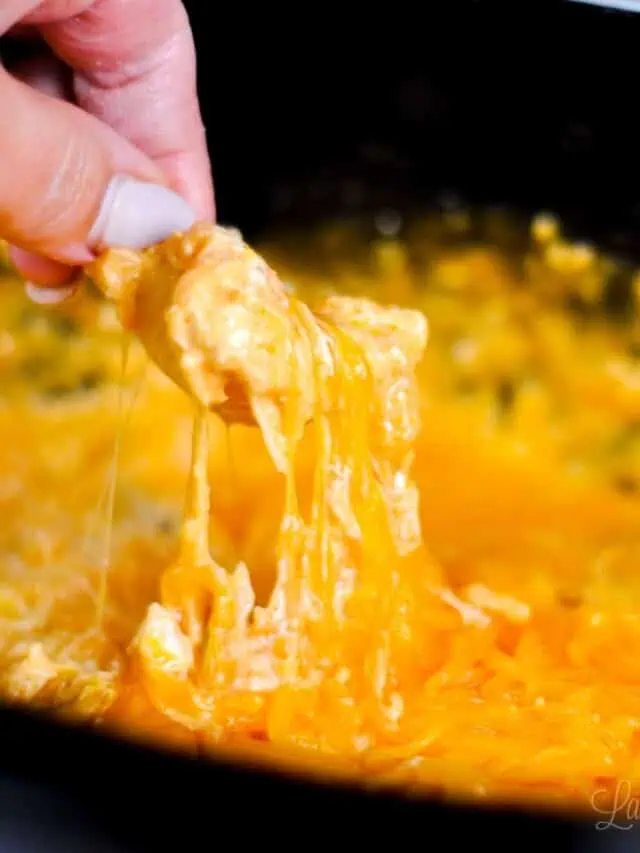 scooping buffalo chicken dip out of crock pot with a tortilla chip.