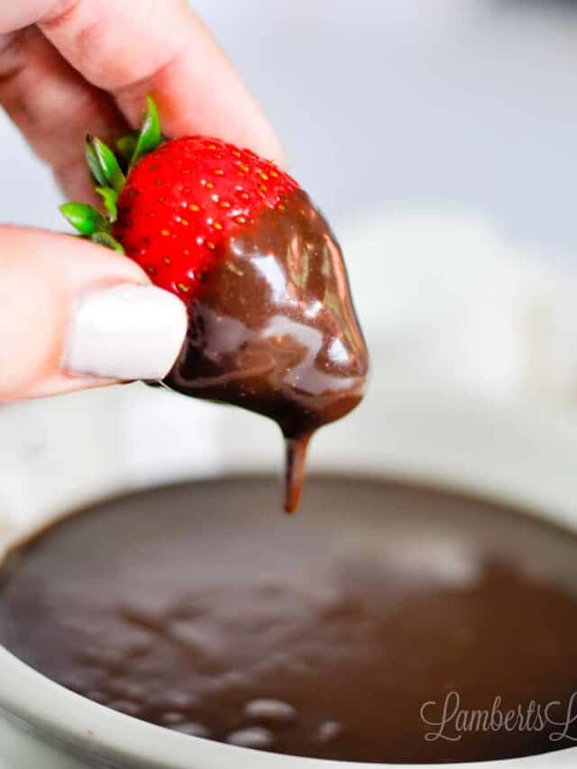Easy 3-Ingredient Chocolate Dip