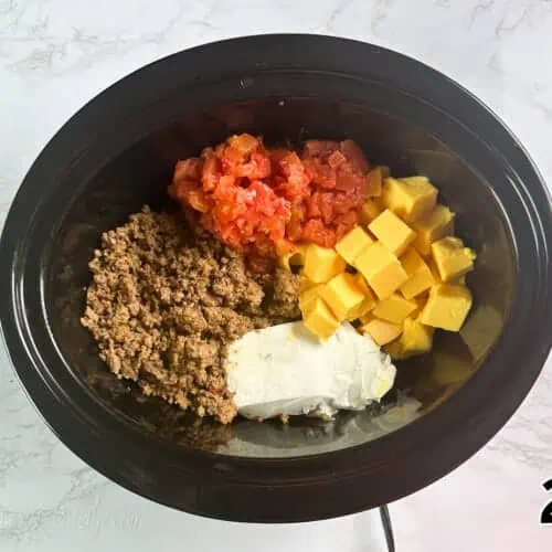 ingredients for rotel dip in a crock pot.