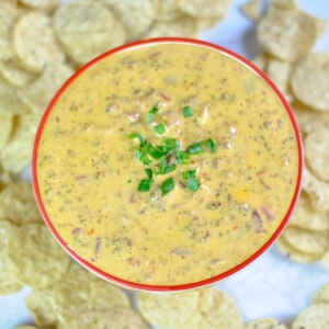 bowl of rotel dip topped with green onions, surrounded by tortilla chips.