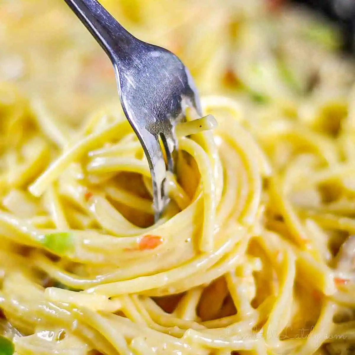 turning a fork in chicken spaghetti.