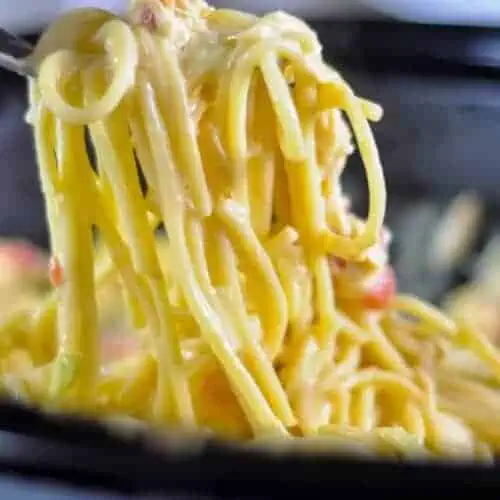 pulling a fork full of chicken spaghetti out of a crock pot.