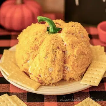 pumpkin cheese ball on a plate surrounded by crackers.